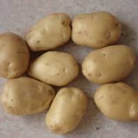 Potito圖片照片_Potito