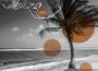 Healing Meditation Music專輯_Chilled IbizaHealing Meditation Music最新專輯