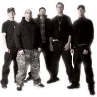 Born from Pain圖片照片_Born from Pain