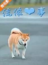 最新2015勵志電影_2015勵志電影大全/排行榜_好看的電影
