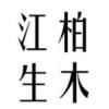 江生柏木圖片照片
