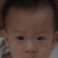 willen圖片照片_willen