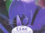 Micheal Hoppe最新歌曲_最熱專輯MV_圖片照片