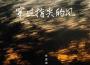 蘇星婕歌曲歌詞大全_蘇星婕最新歌曲歌詞