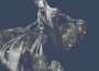 Two Tragedy Poets (...And a Caravan of Weird Figures)專輯_ElvenkingTwo Tragedy Poets (...And a Caravan of Weird Figures)最新專輯