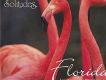 Florida 佛羅里達