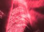 Cold Blood (Sped Up)專輯_WileeCold Blood (Sped Up)最新專輯
