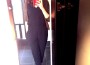 halca