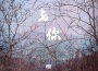 With You專輯_於意With You最新專輯