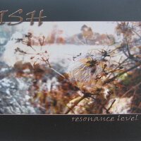 ISH圖片照片_ISH