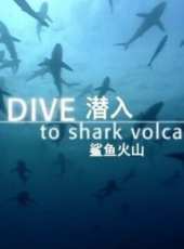 BBC：潛入鯊魚火山線上看_全集高清完整版線上看_分集劇情介紹_好看的電視劇