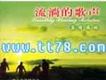 流淌的歌聲之真情依舊 (八)