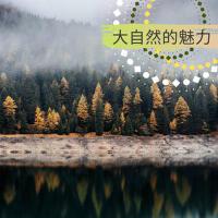 大自然聲音個人資料介紹_個人檔案(生日/星座/歌曲/專輯/MV作品)