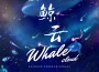 星雨·純音專輯_落葉星雨·純音最新專輯
