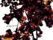 acid android歌曲歌詞大全_acid android最新歌曲歌詞
