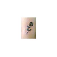 Dark Red (Remixes)專輯_ShlohmoDark Red (Remixes)最新專輯