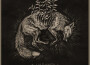 Aokigahara MMXXII專輯_Harakiri for the skyAokigahara MMXXII最新專輯