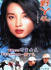 李冰冰演過的電影電視劇線上看_影視作品大全_好看的明星