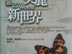 美麗新世界歌曲歌詞大全_美麗新世界最新歌曲歌詞