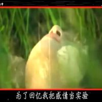 悲愛圖片照片_悲愛