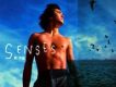Senses