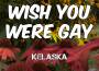 Cover Songs, Vol. VIII專輯_KelaskaCover Songs, Vol. VIII最新專輯