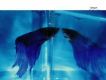 People In The Box歌曲歌詞大全_People In The Box最新歌曲歌詞