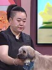 哈嘍夥計最新一期線上看_全集完整版高清線上看_好看的綜藝