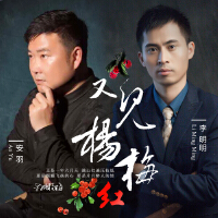 李明明&安羽歌曲歌詞大全_李明明&安羽最新歌曲歌詞