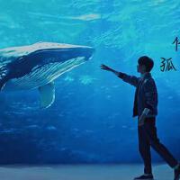 千雲畫鯨歌曲歌詞大全_千雲畫鯨最新歌曲歌詞