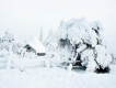 雪
