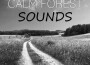 Calm Forest Sounds – Quiet Sounds for Long Sleep, 專輯_Inspiring Dreams AcaCalm Forest Sounds – Quiet Sounds for Long Sleep, 最新專輯