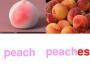 Because Of You專輯_PeachBecause Of You最新專輯