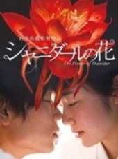 綾野剛演過的電影電視劇線上看_影視作品大全_好看的明星
