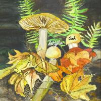 Diegita圖片照片_照片寫真
