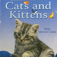 Typical Cats圖片照片_Typical Cats