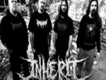 Inherit Disease歌曲歌詞大全_Inherit Disease最新歌曲歌詞