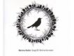 Song 3: Bird on the