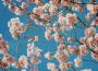 cherry blossom origami專輯_Kayou.cherry blossom origami最新專輯
