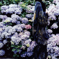 Karen Elson圖片照片_Karen Elson