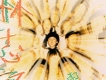 林志穎歌曲歌詞大全_林志穎最新歌曲歌詞