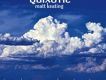 Quixotic