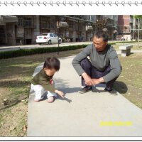 bossn圖片照片_bossn