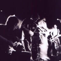 The Frames圖片照片_The Frames