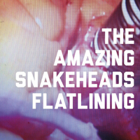 The Amazing Snakeheads歌曲歌詞大全_The Amazing Snakeheads最新歌曲歌詞