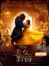 丹·史蒂文斯演過的電影電視劇線上看_影視作品大全_好看的明星