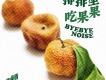 白噪音樂隊歌曲歌詞大全_白噪音樂隊最新歌曲歌詞