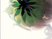James歌曲歌詞大全_James最新歌曲歌詞