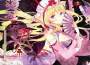 東方幻夢譚專輯_Dandelion Trio東方幻夢譚最新專輯