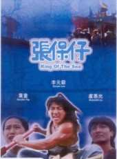 葉童演過的電影電視劇線上看_影視作品大全_好看的明星